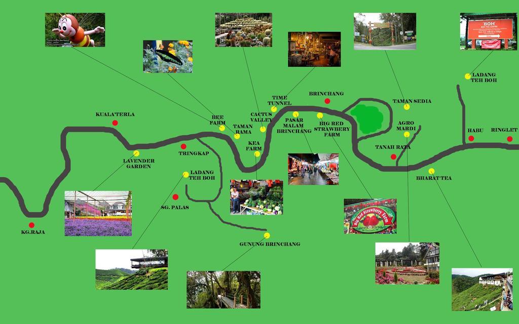 Homestay Cameron Highlands Mikayla Ngoại thất bức ảnh